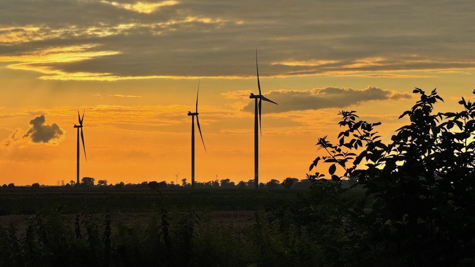 EBL X Invest: Solarpark Weissdorf liefert Strom