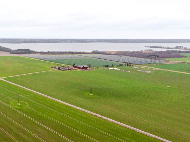 ewz baut Solarpark Ulvåsa mit Batteriespeicher