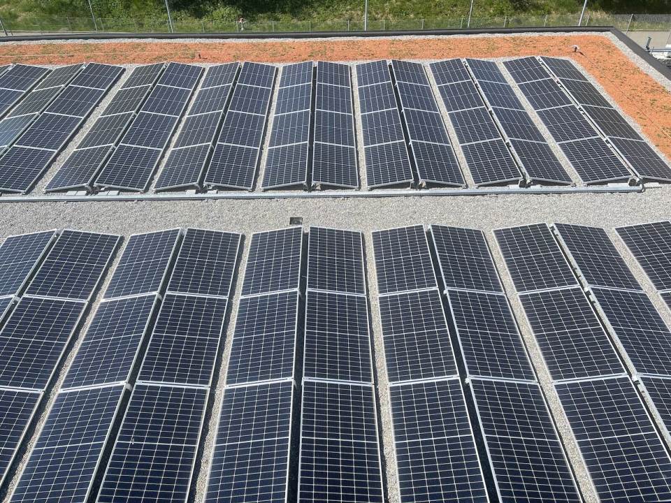 VSE führt dynamische Solarstromvergütung ein