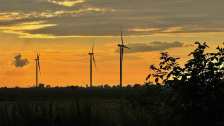 EBL X Invest: Solarpark Weissdorf liefert Strom