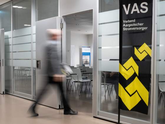 VAS: Regulierung, Tarife und Energiepolitik im Fokus