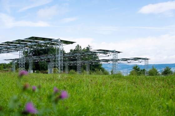 ZHAW: Anschub für Agri-PV im Kanton Zürich