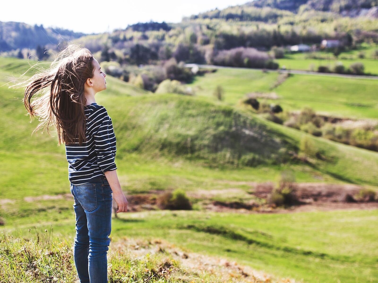Zürich Wind startet im Zürcher Weinland die nächste Phase der Standortprüfung für Windenergie.